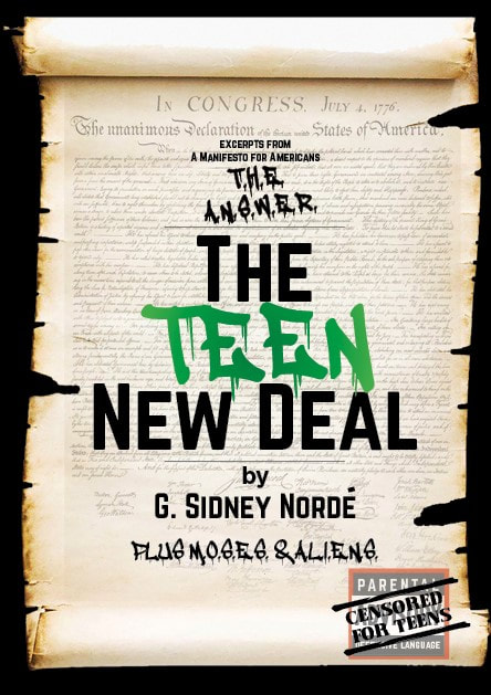 A book cover with the title of the teen new deal.